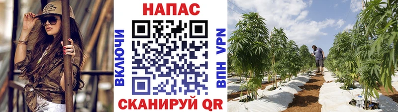 Где купить наркоту Дегтярск Гашиш Конопля Альфа ПВП Мефедрон