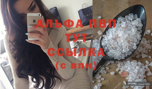 стаф Майский