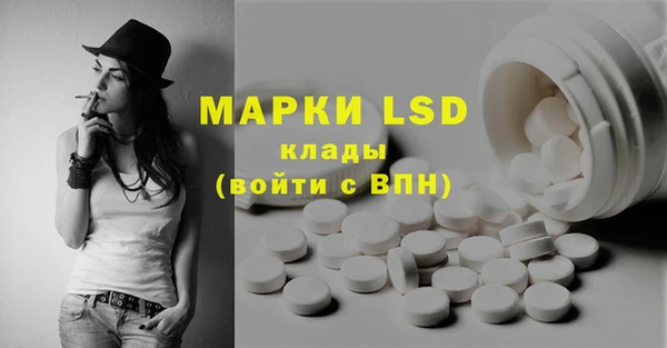 стаф Майский